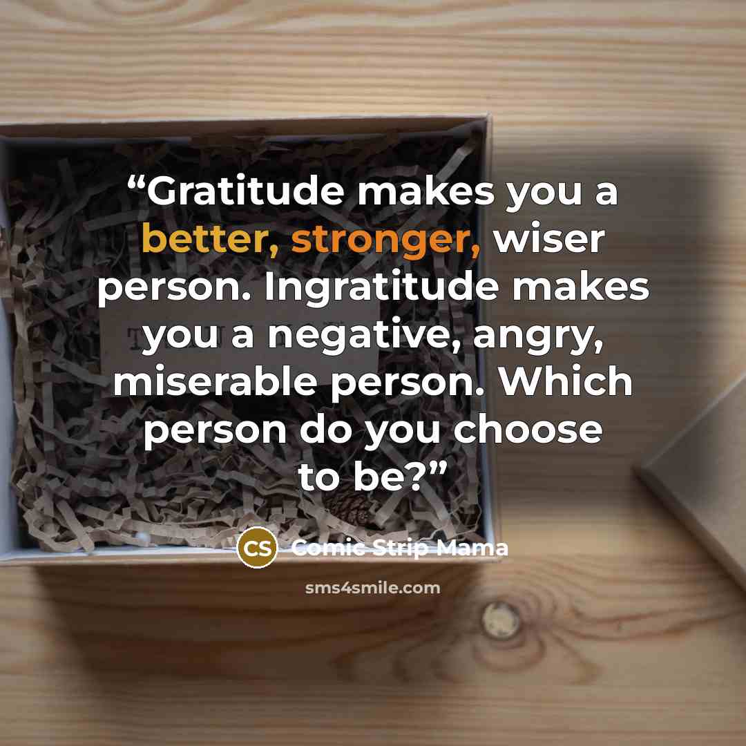 “Gratitude makes you a better, stronger, wiser person. Ingratitude makes you a negative, angry, miserable person. Which person do you choose to be?” quote by Comic Strip Mama