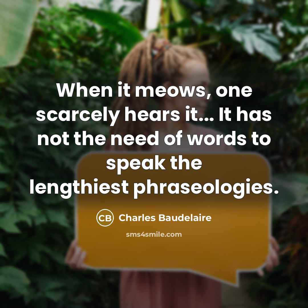 “When it meows, one scarcely hears it... It has not the need of words to speak the lengthiest phraseologies.” quote by Charles Baudelaire