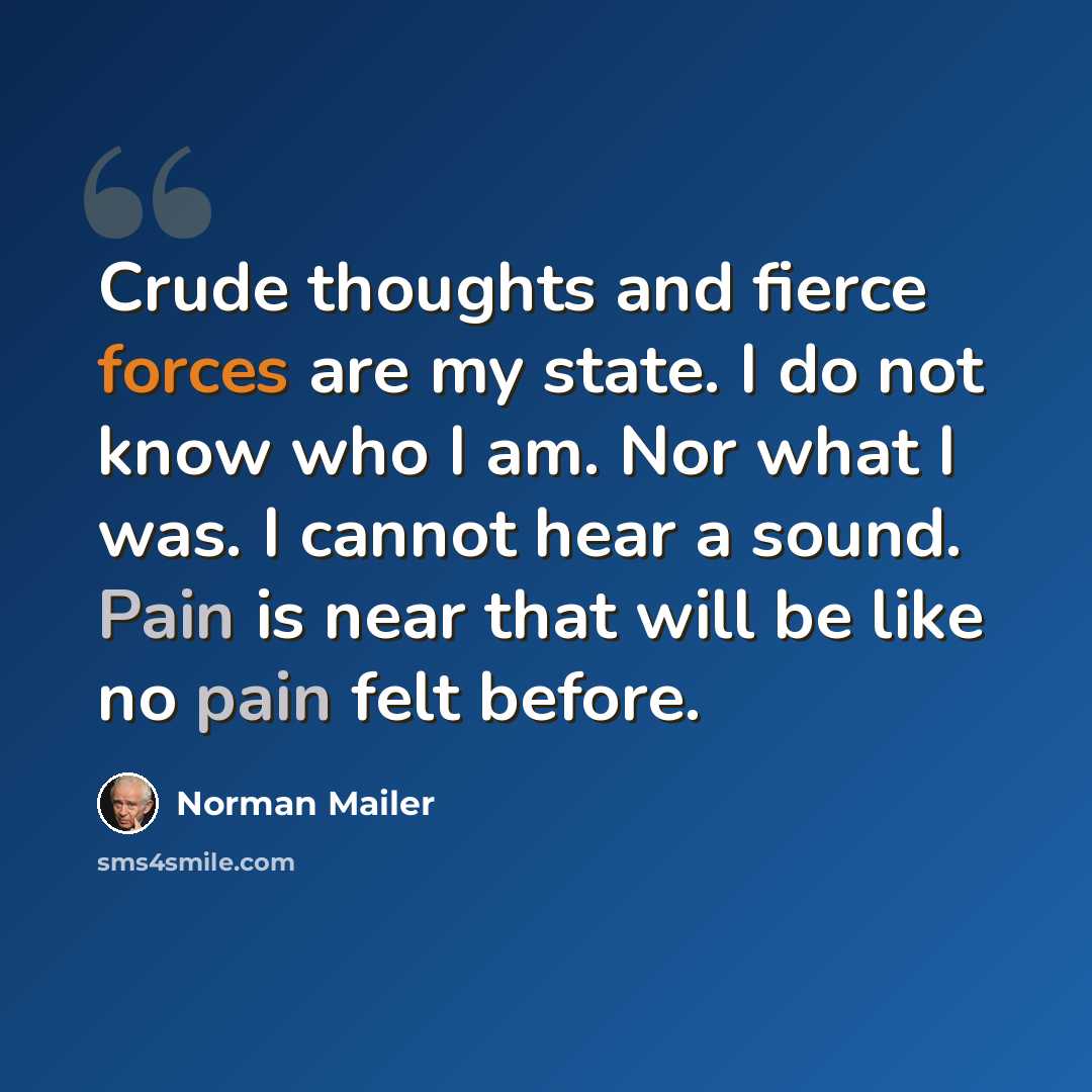 “Crude thoughts and fierce forces are my state. I do not know who I am. Nor what I was. I cannot hear a sound. Pain is near that will be like no pain felt before.” quote by Norman Mailer