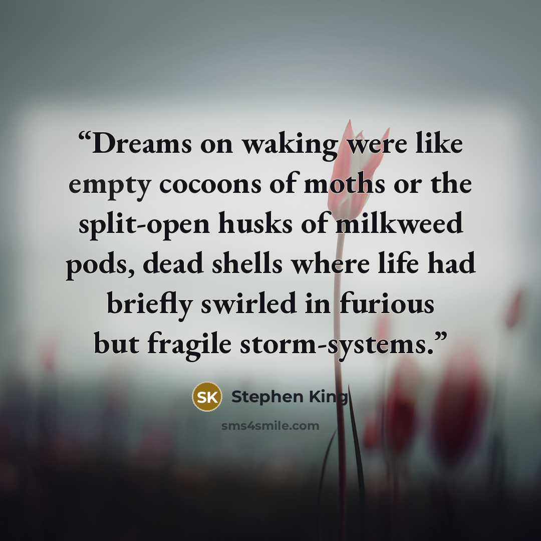 “Dreams on waking were like empty cocoons of moths or the split-open husks of milkweed pods, dead shells where life had briefly swirled in furious but fragile storm-systems.” quote by Stephen King