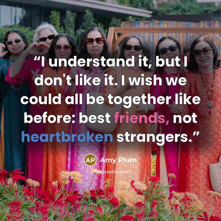 “I understand it, but I don't like it. I wish we could all be together like before: best friends, not heartbroken strangers.” quote by Amy Plum