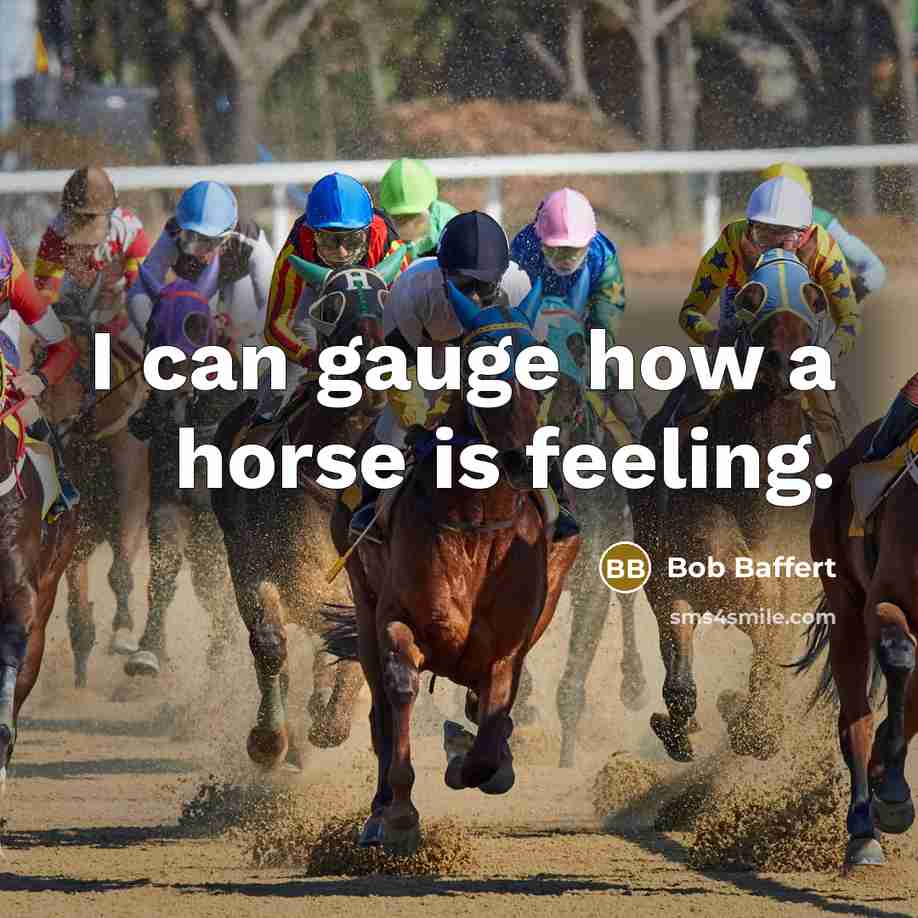 “I can gauge how a horse is feeling.” quote by Bob Baffert