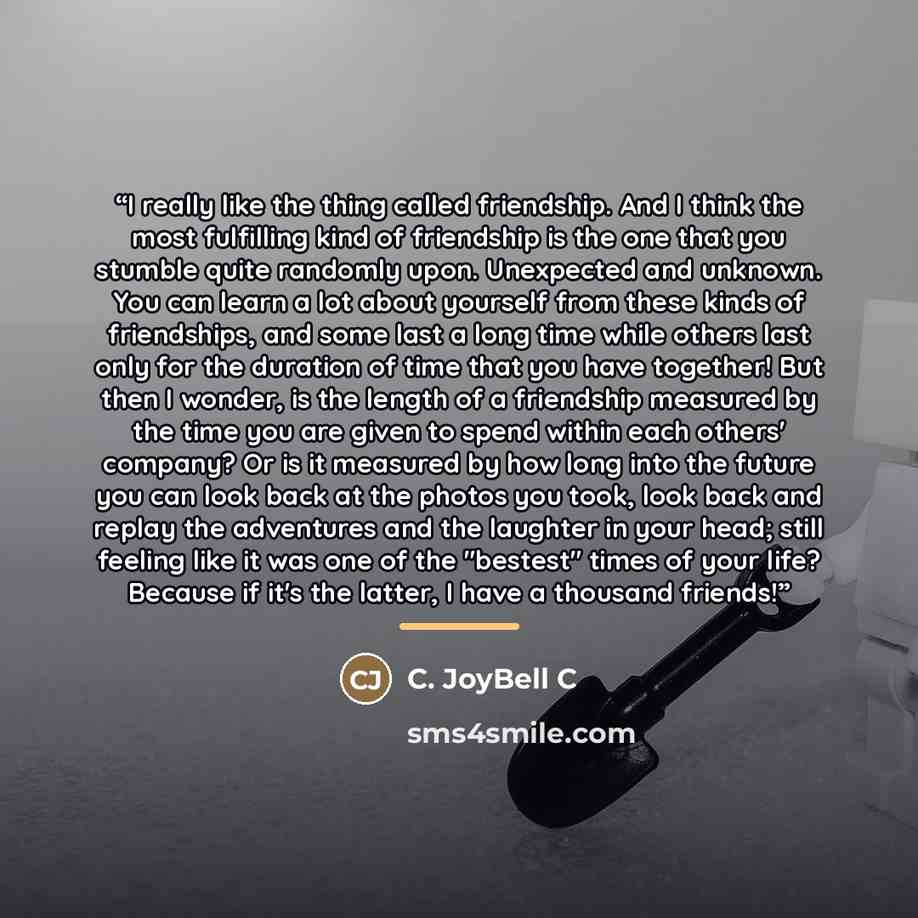“I really like the thing called friendship. And I think the most fulfilling kind of friendship is the one that you stumble quite randomly upon. Unexpected and unknown. You can learn a lot about yourself from these kinds of friendships, and some last a long time while others last only for the…” quote by C. JoyBell C