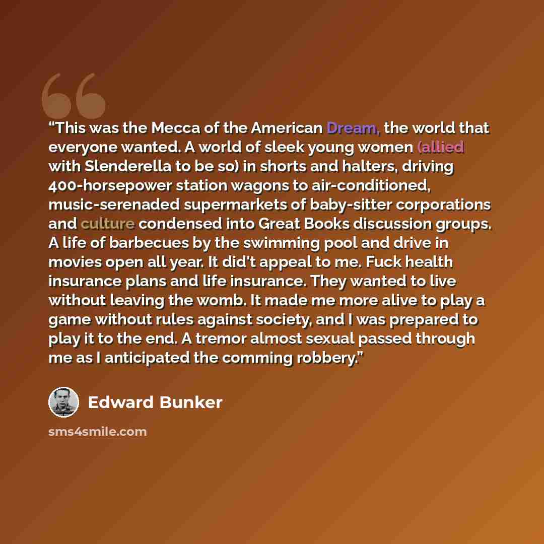 “This was the Mecca of the American Dream, the world that everyone wanted. A world of sleek young women (allied with Slenderella to be so) in shorts and halters, driving 400-horsepower station wagons to air-conditioned, music-serenaded supermarkets of baby-sitter corporations and culture condensed…” quote by Edward Bunker
