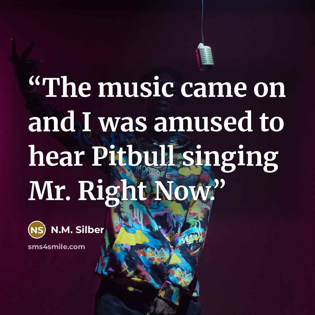 “The music came on and I was amused to hear Pitbull singing Mr. Right Now.” quote by N.M. Silber