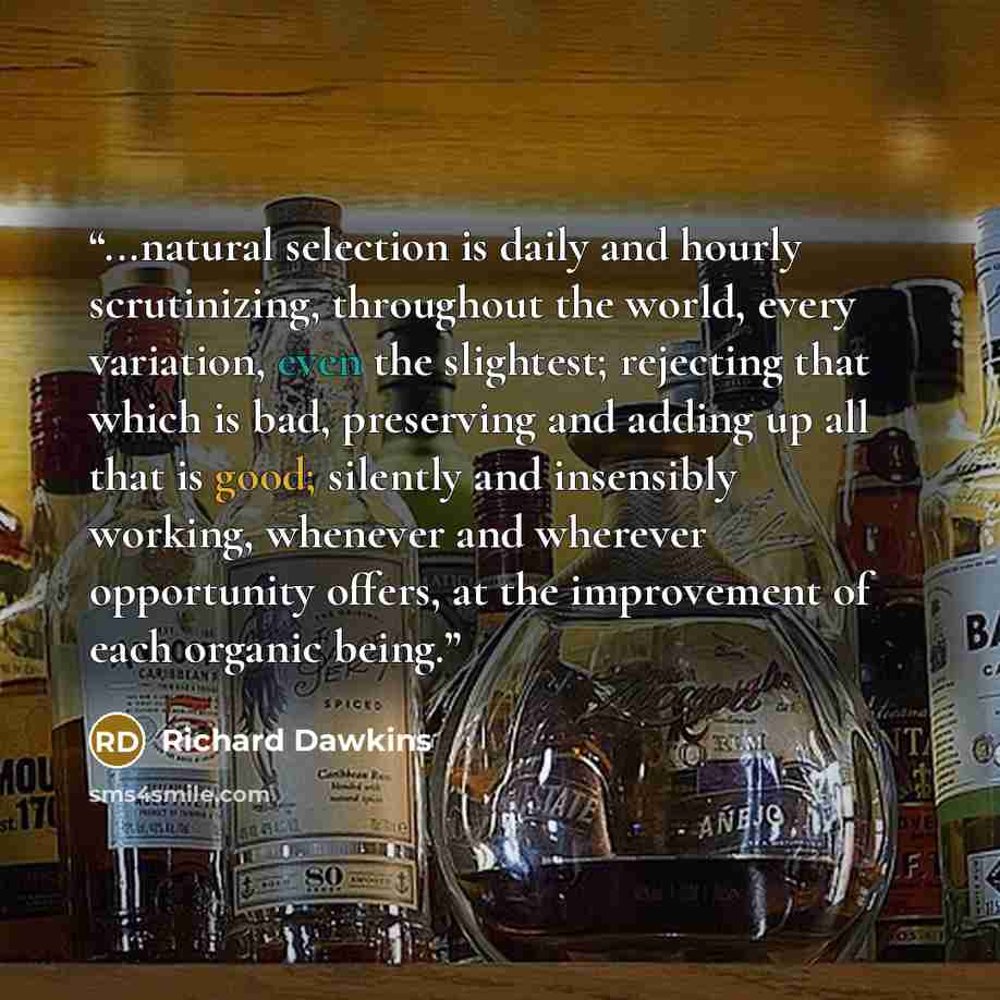 “...natural selection is daily and hourly scrutinizing, throughout the world, every variation, even the slightest; rejecting that which is bad, preserving and adding up all that is good; silently and insensibly working, whenever and wherever opportunity offers, at the improvement of each organic…” quote by Richard Dawkins