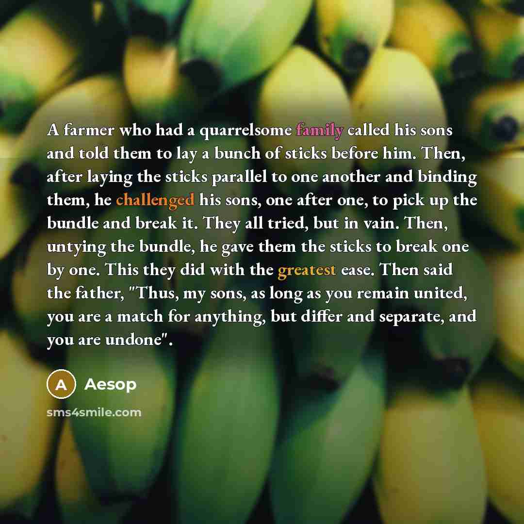 “A farmer who had a quarrelsome family called his sons and told them to lay a bunch of sticks before him. Then, after laying the sticks parallel to one another and binding them, he challenged his sons, one after one, to pick up the bundle and break it. They all tried, but in vain. Then, untying the…” quote by Aesop