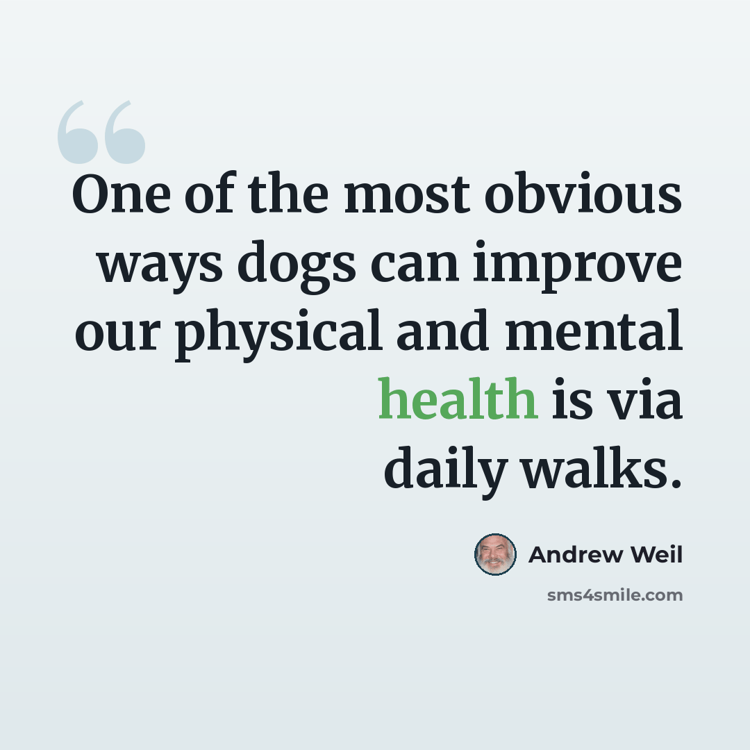 “One of the most obvious ways dogs can improve our physical and mental health is via daily walks.” quote by Andrew Weil