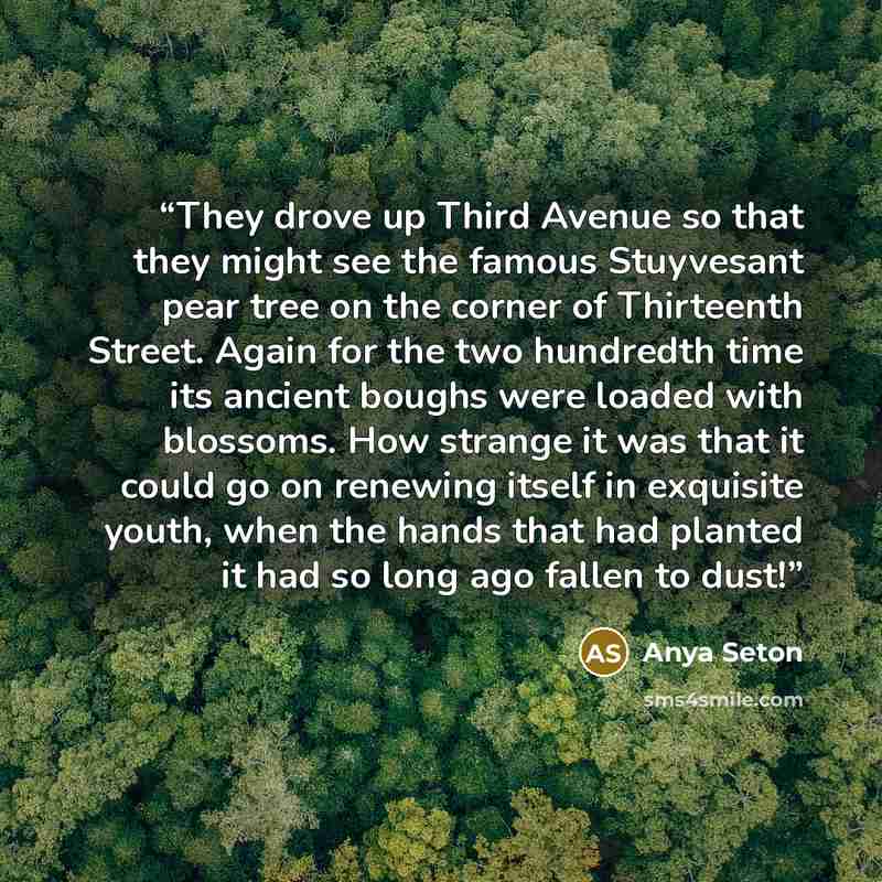 “They drove up Third Avenue so that they might see the famous Stuyvesant pear tree on the corner of Thirteenth Street. Again for the two hundredth time its ancient boughs were loaded with blossoms. How strange it was that it could go on renewing itself in exquisite youth, when the hands that had…” quote by Anya Seton