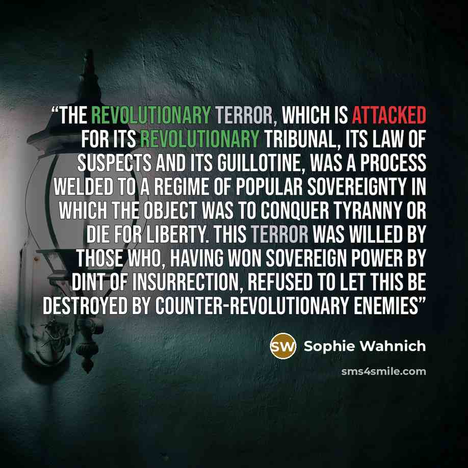 “The revolutionary Terror, which is attacked for its revolutionary tribunal, its law of suspects and its guillotine, was a process welded to a regime of popular sovereignty in which the object was to conquer tyranny or die for liberty. This Terror was willed by those who, having won sovereign power…” quote by Sophie Wahnich