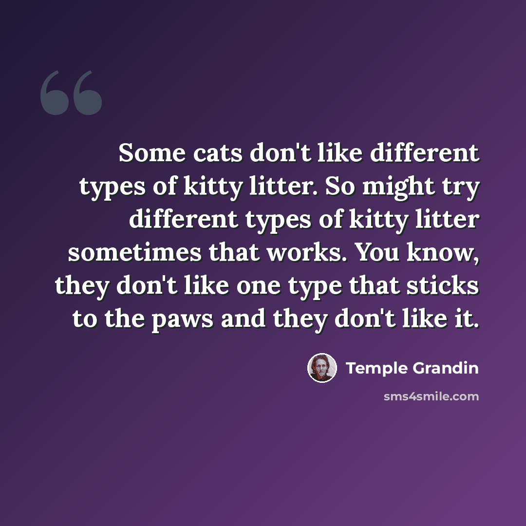 “Some cats don't like different types of kitty litter. So might try different types of kitty litter sometimes that works. You know, they don't like one type that sticks to the paws and they don't like it.” quote by Temple Grandin