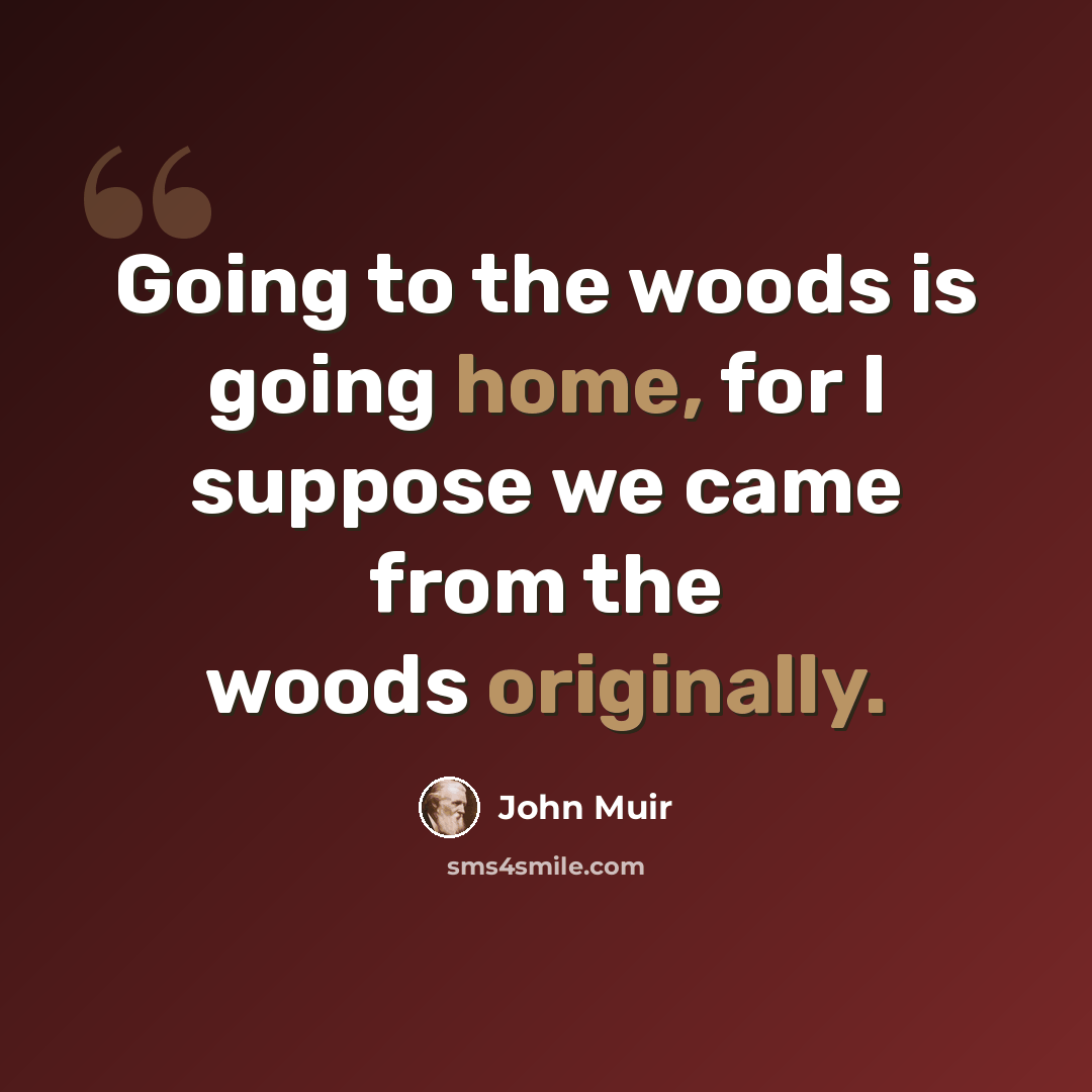 “Going to the woods is going home, for I suppose we came from the woods originally.” quote by John Muir