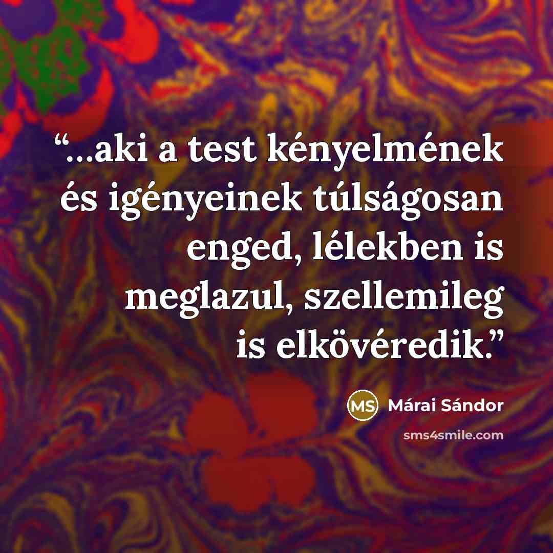 “…aki a test kényelmének és igényeinek túlságosan enged, lélekben is meglazul, szellemileg is elkövéredik.” quote by Márai Sándor