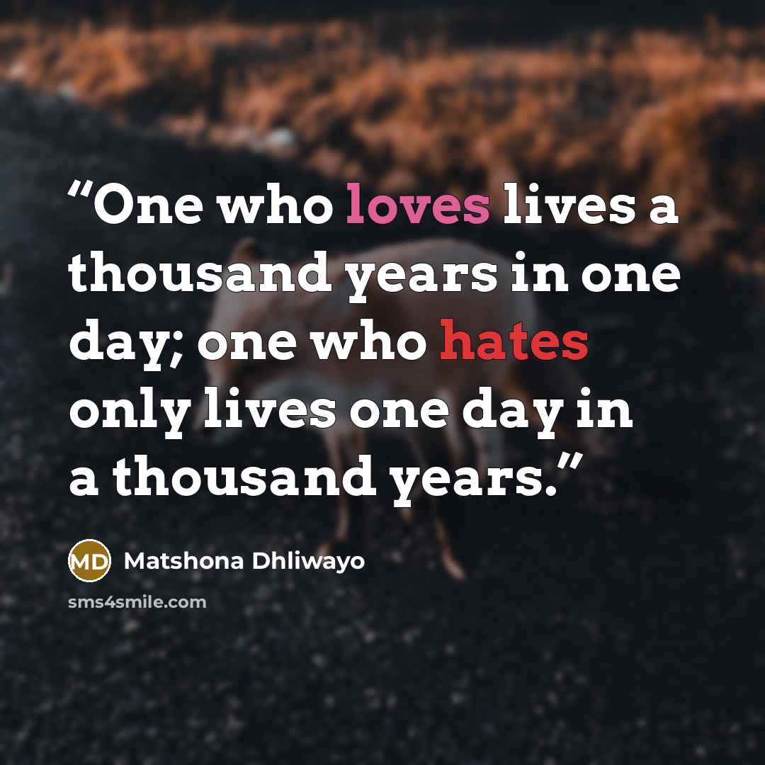 “One who loves lives a thousand years in one day; one who hates only lives one day in a thousand years.” quote by Matshona Dhliwayo