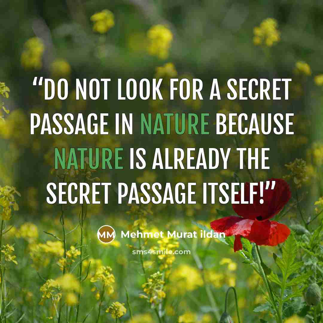 “Do not look for a secret passage in nature because nature is already the secret passage itself!” quote by Mehmet Murat ildan