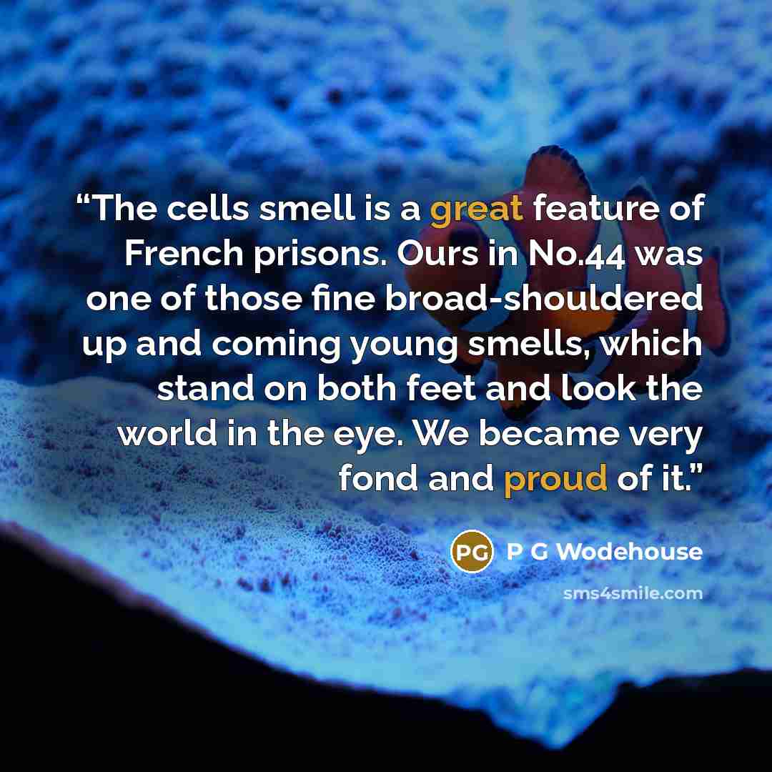 “The cells smell is a great feature of French prisons. Ours in No.44 was one of those fine broad-shouldered up and coming young smells, which stand on both feet and look the world in the eye. We became very fond and proud of it.” quote by P G Wodehouse