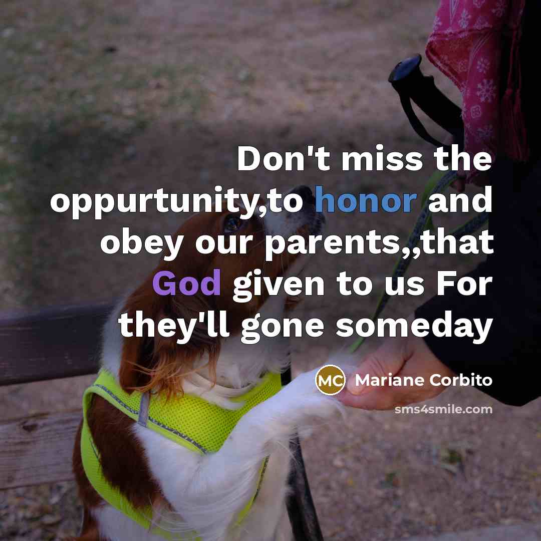 “Don't miss the oppurtunity,to honor and obey our parents,,that God given to us For they'll gone someday” quote by Mariane Corbito