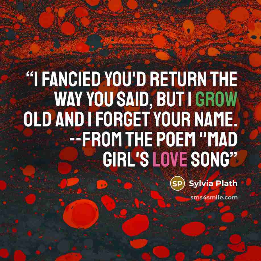 “I fancied you'd return the way you said, But I grow old and I forget your name. --From the poem "Mad Girl's Love Song” quote by Sylvia Plath