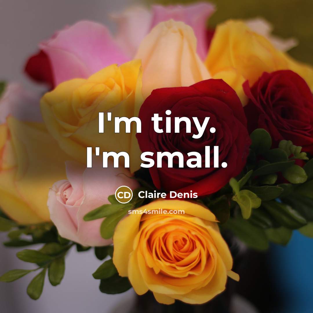 “I'm tiny. I'm small.” quote by Claire Denis