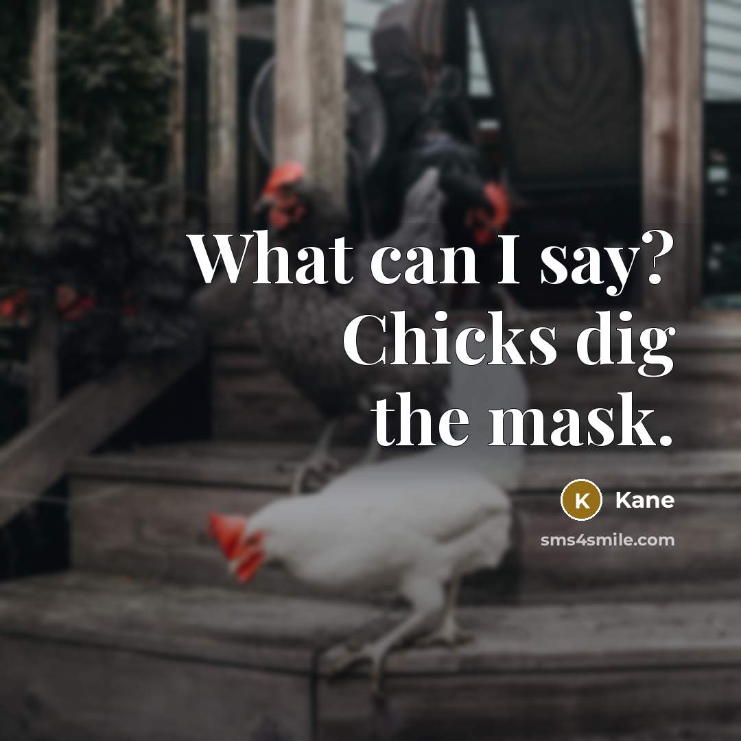 “What can I say? Chicks dig the mask.” quote by Kane