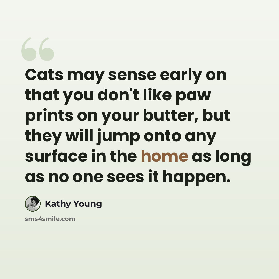 “Cats may sense early on that you don't like paw prints on your butter, but they will jump onto any surface in the home as long as no one sees it happen.” quote by Kathy Young
