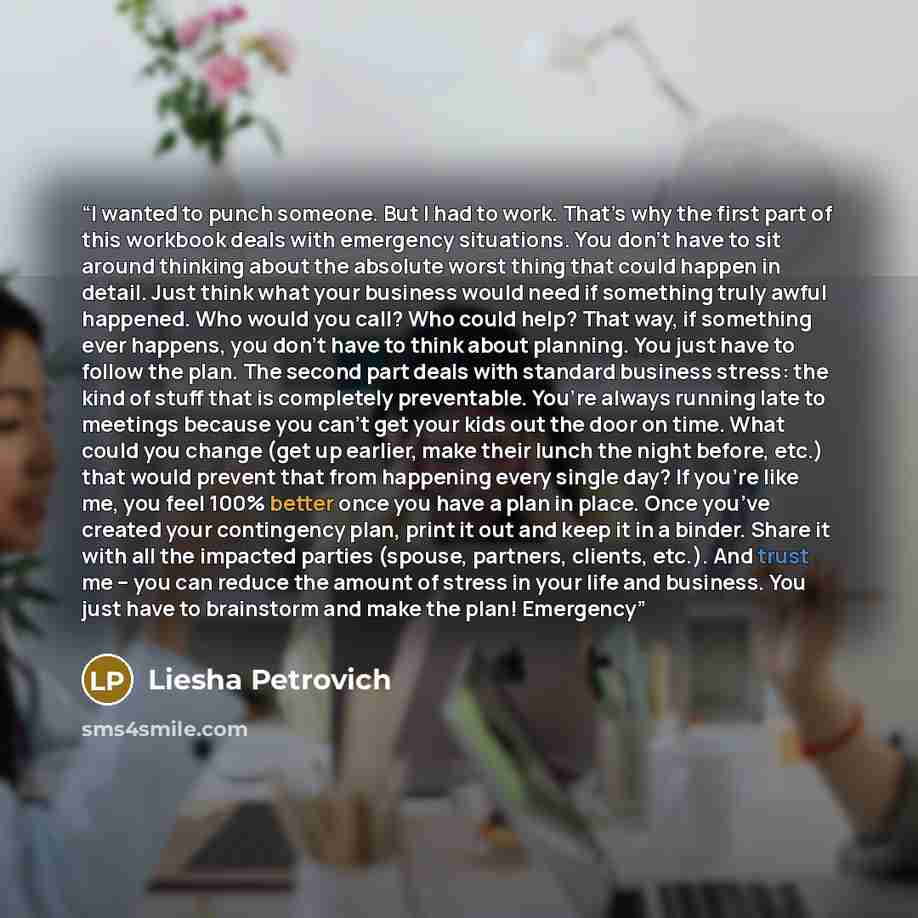 “I wanted to punch someone. But I had to work. That’s why the first part of this workbook deals with emergency situations. You don’t have to sit around thinking about the absolute worst thing that could happen in detail. Just think what your business would need if something truly awful happened…” quote by Liesha Petrovich