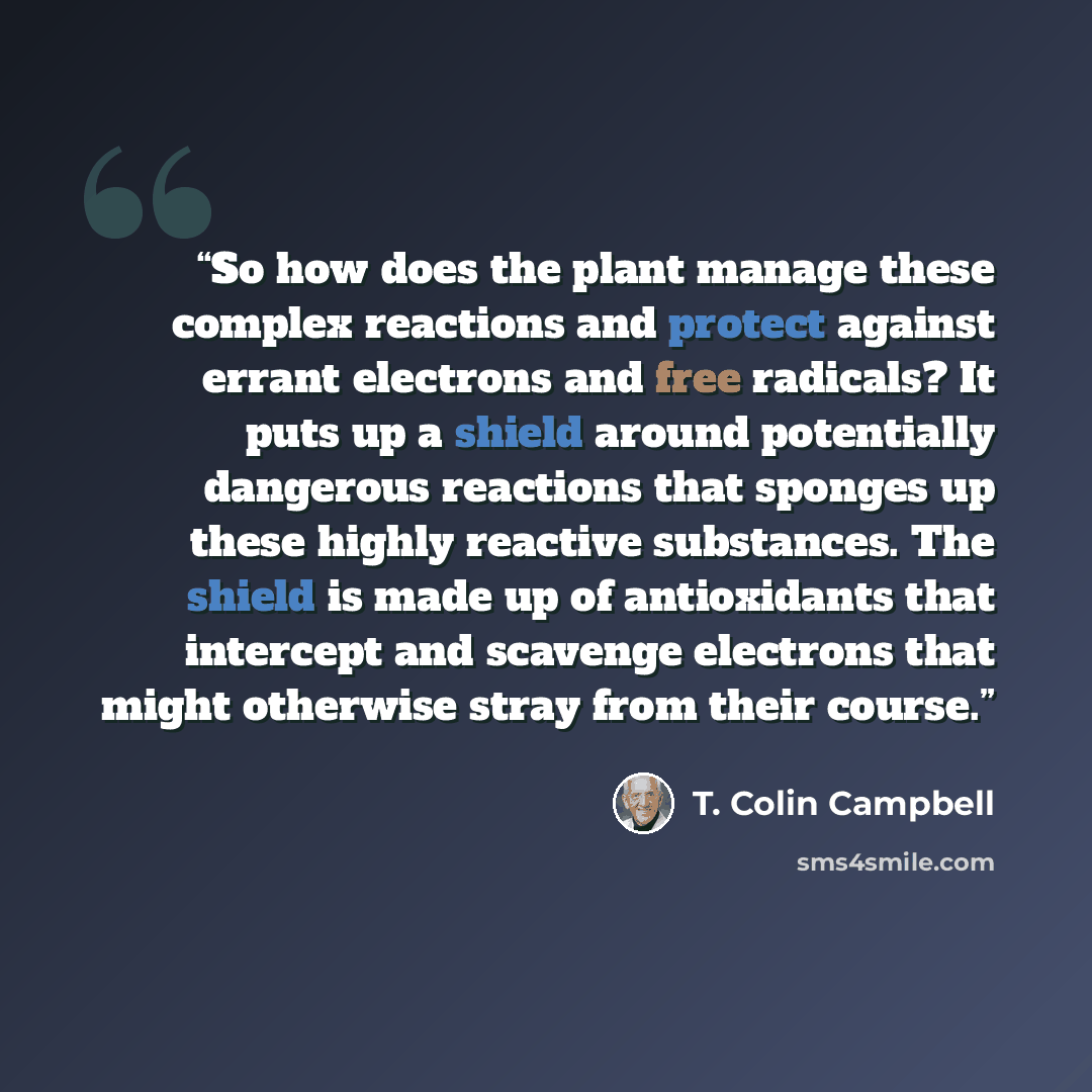 “So how does the plant manage these complex reactions and protect against errant electrons and free radicals? It puts up a shield around potentially dangerous reactions that sponges up these highly reactive substances. The shield is made up of antioxidants that intercept and scavenge electrons that…” quote by T. Colin Campbell