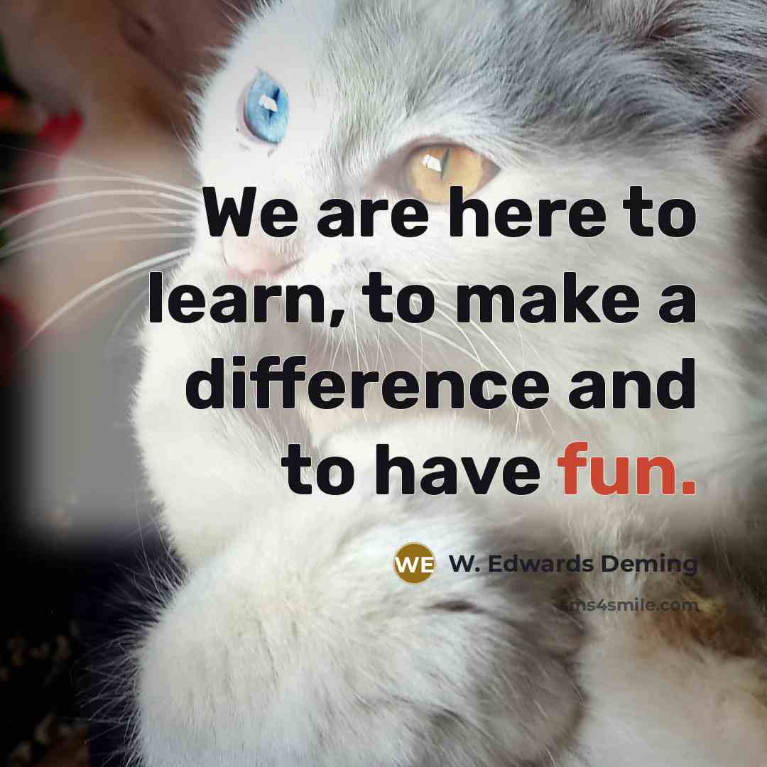 “We are here to learn, to make a difference and to have fun.” quote by W. Edwards Deming