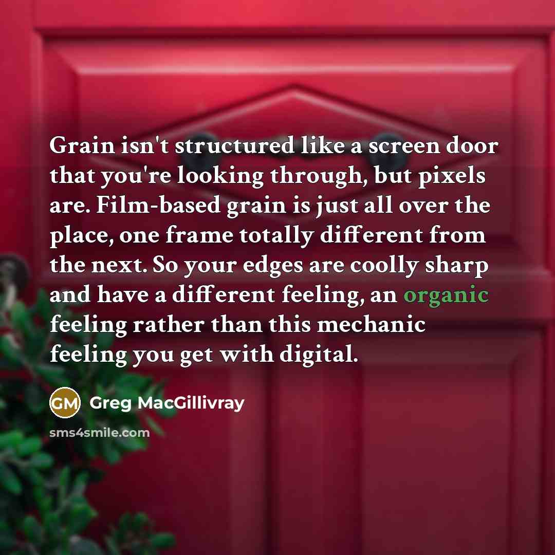 “Grain isn't structured like a screen door that you're looking through, but pixels are. Film-based grain is just all over the place, one frame totally different from the next. So your edges are coolly sharp and have a different feeling, an organic feeling rather than this mechanic feeling you get…” quote by Greg MacGillivray