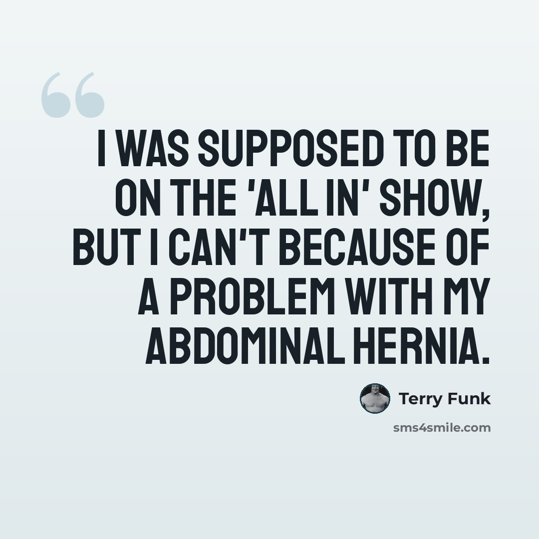 “I was supposed to be on the 'All In' show, but I can't because of a problem with my abdominal hernia.” quote by Terry Funk