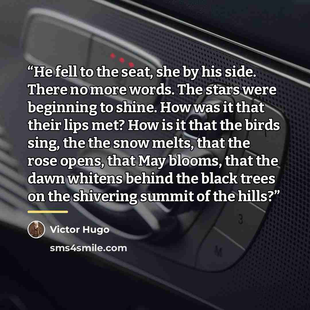 “He fell to the seat, she by his side. There no more words. The stars were beginning to shine. How was it that their lips met? How is it that the birds sing, the the snow melts, that the rose opens, that May blooms, that the dawn whitens behind the black trees on the shivering summit of the hills?” quote by Victor Hugo