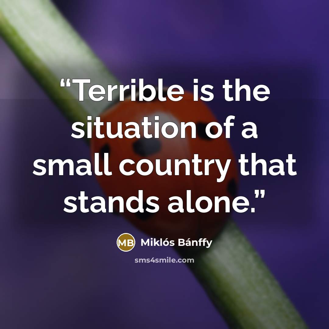 “Terrible is the situation of a small country that stands alone.” quote by Miklós Bánffy
