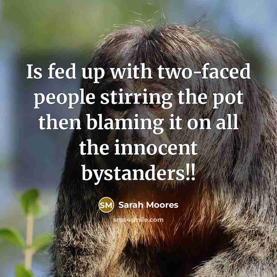 “Is fed up with two-faced people stirring the pot then blaming it on all the innocent bystanders!!” quote by Sarah Moores