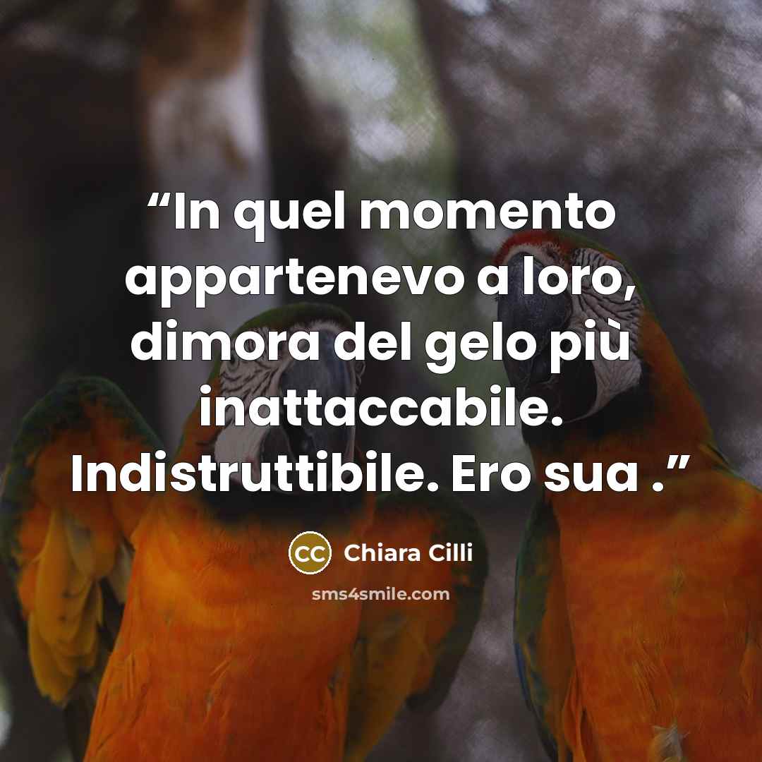 “In quel momento appartenevo a loro, dimora del gelo più inattaccabile. Indistruttibile. Ero sua .” quote by Chiara Cilli