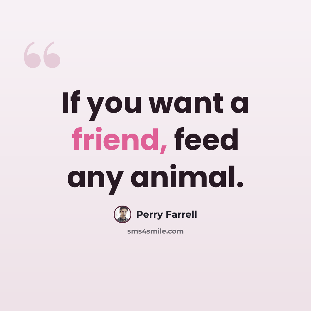 “If you want a friend, feed any animal.” quote by Perry Farrell