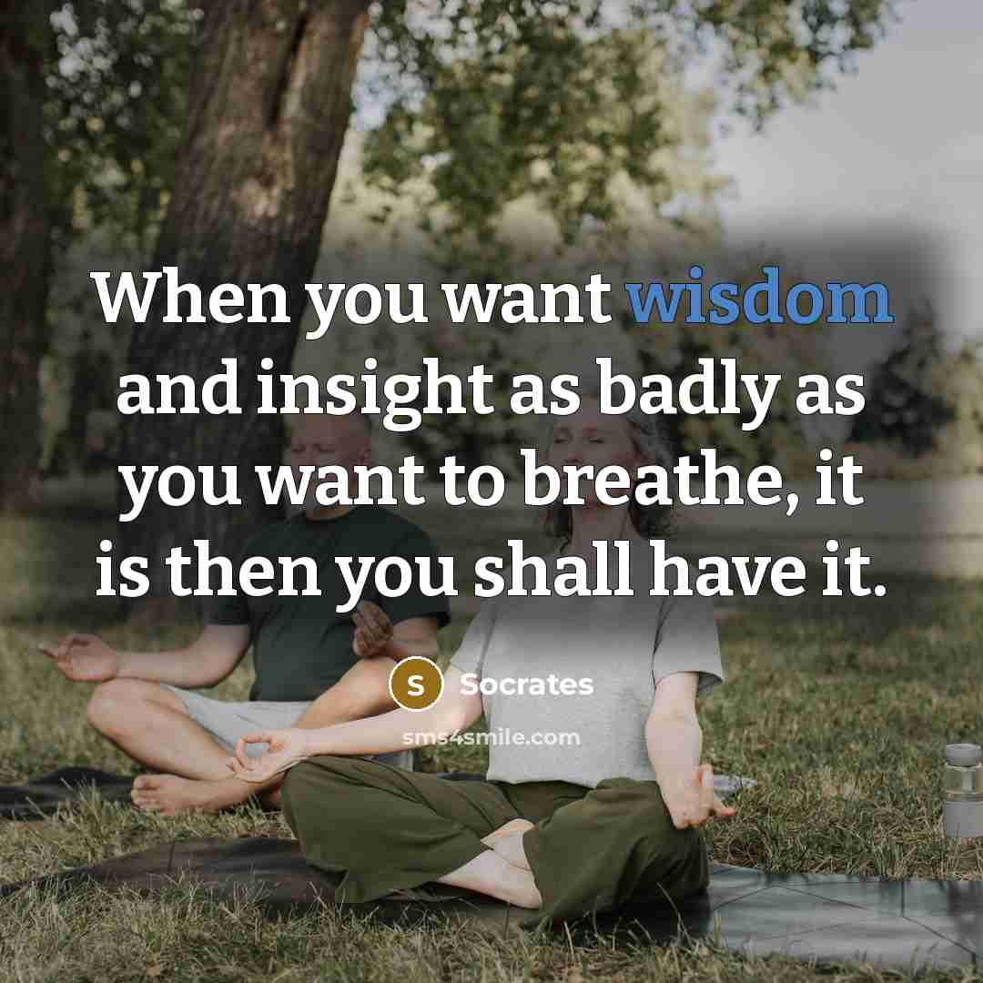 “When you want wisdom and insight as badly as you want to breathe, it is then you shall have it.” quote by Socrates