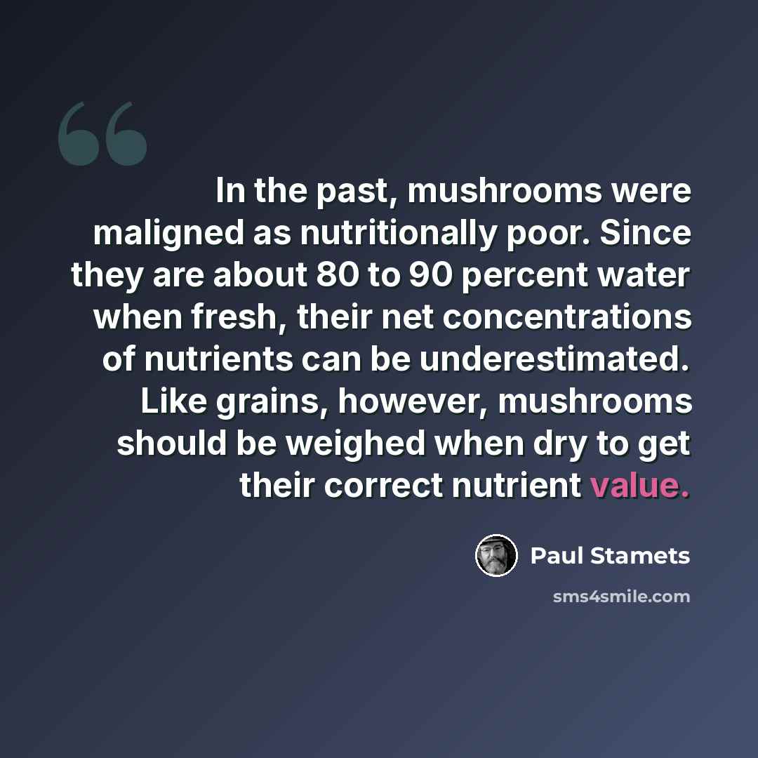 “In the past, mushrooms were maligned as nutritionally poor. Since they are about 80 to 90 percent water when fresh, their net concentrations of nutrients can be underestimated. Like grains, however, mushrooms should be weighed when dry to get their correct nutrient value.” quote by Paul Stamets