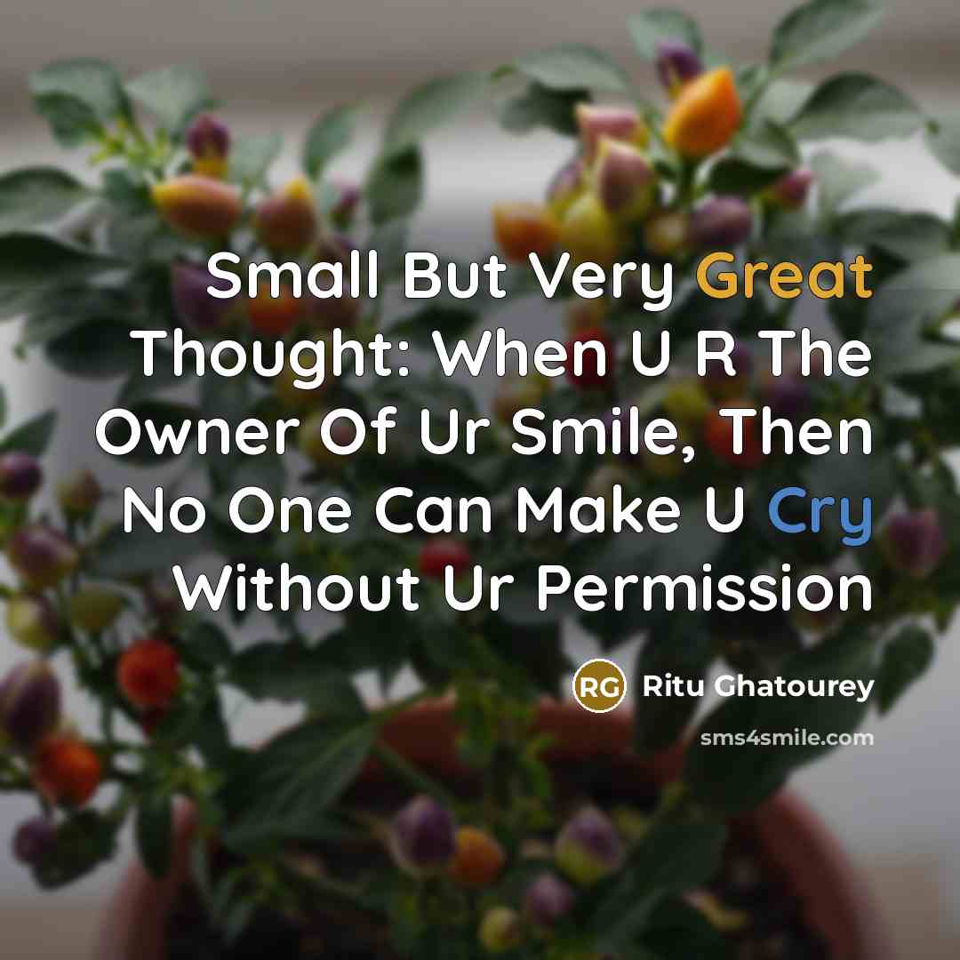“Small But Very Great Thought: When U R The Owner Of Ur Smile, Then No One Can Make U Cry Without Ur Permission” quote by Ritu Ghatourey
