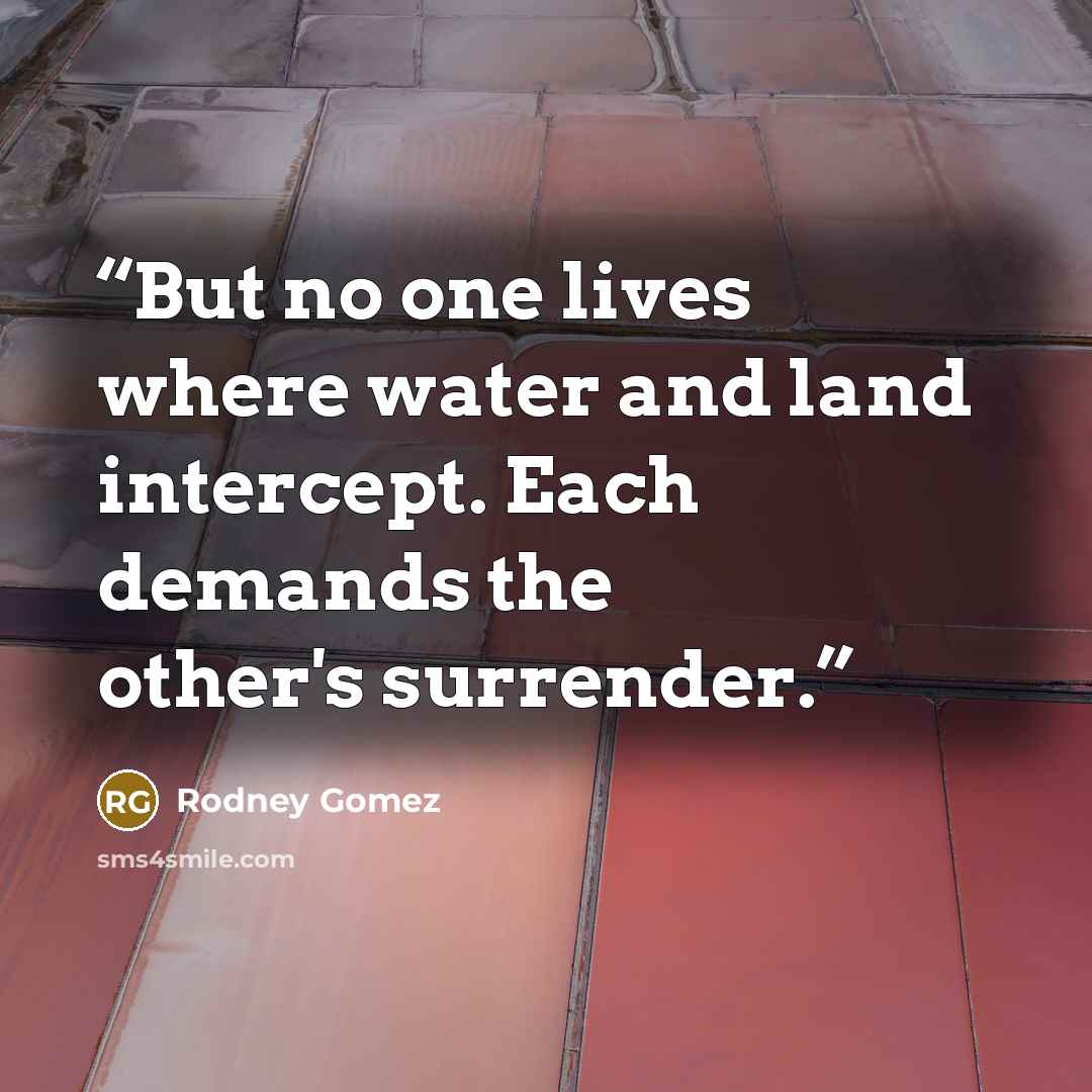 “But no one lives where water and land intercept. Each demands the other's surrender.” quote by Rodney Gomez