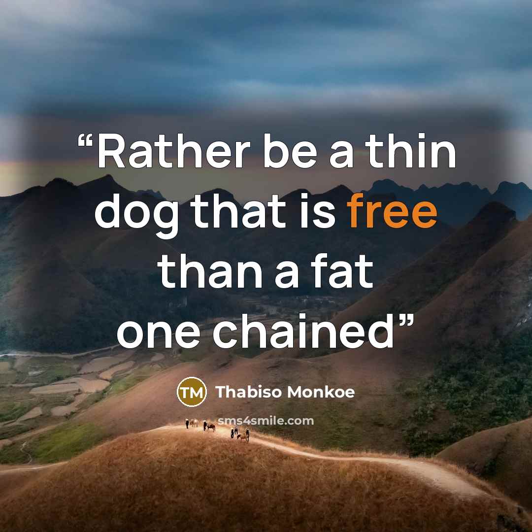 “Rather be a thin dog that is free than a fat one chained” quote by Thabiso Monkoe