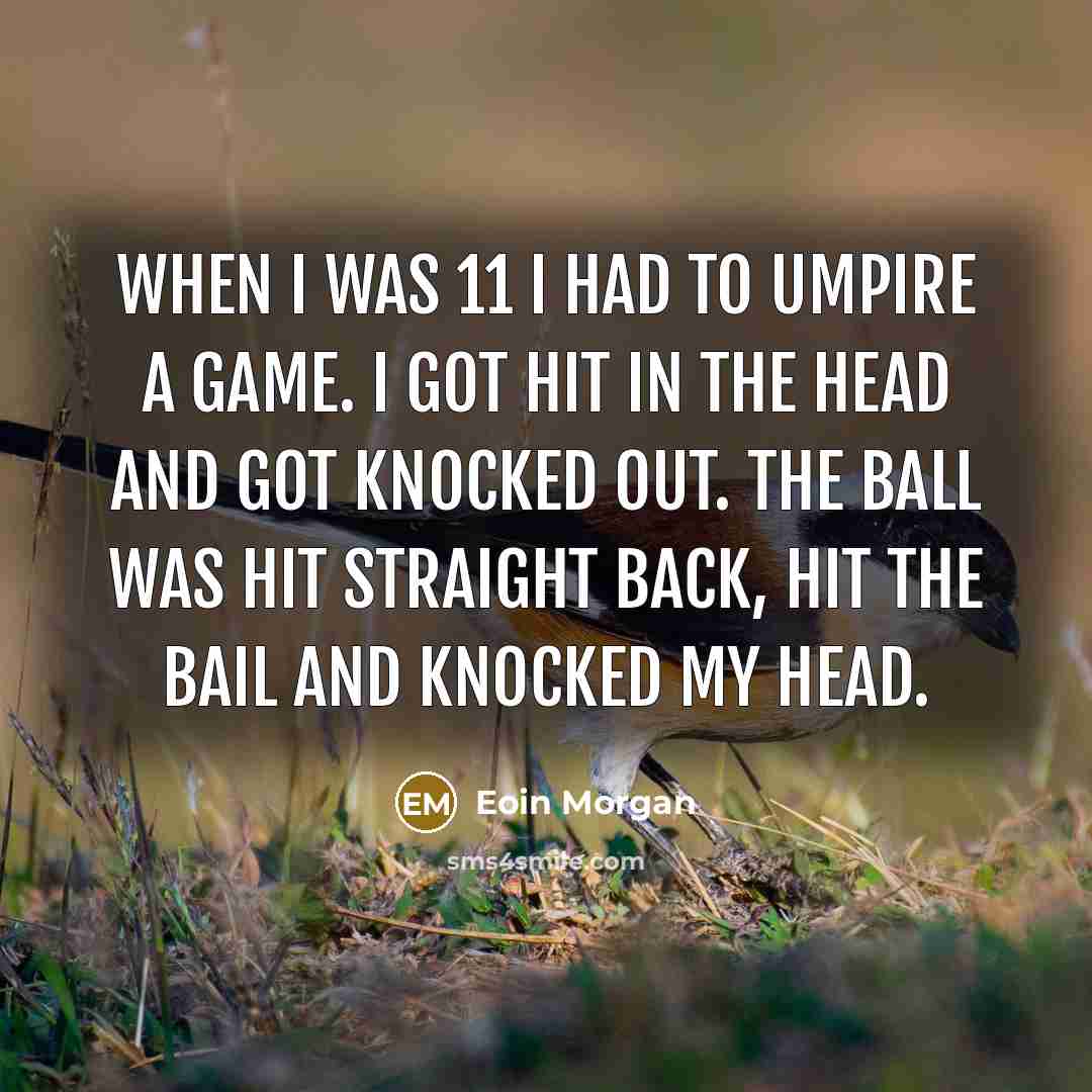 “When I was 11 I had to umpire a game. I got hit in the head and got knocked out. The ball was hit straight back, hit the bail and knocked my head.” quote by Eoin Morgan