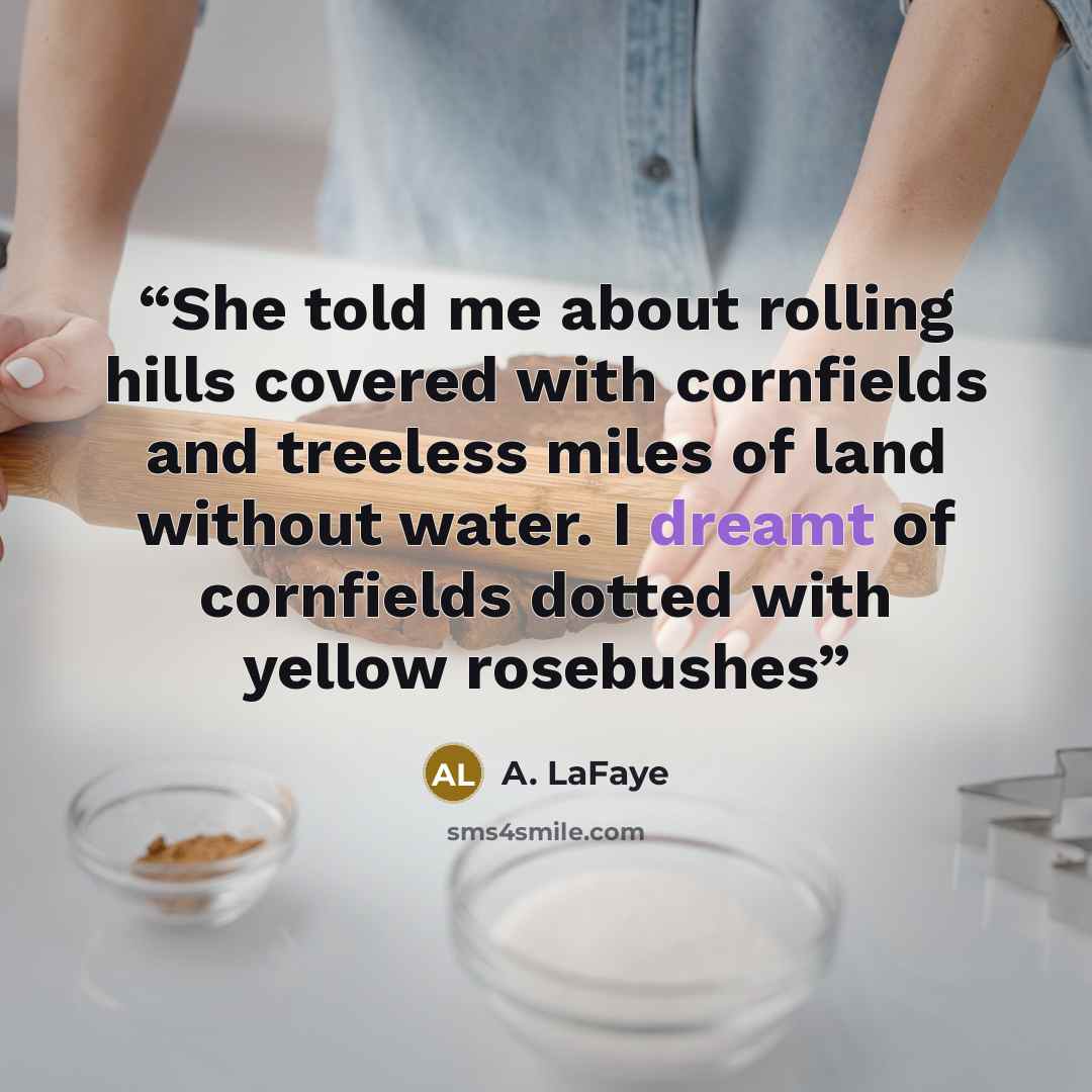 “She told me about rolling hills covered with cornfields and treeless miles of land without water. I dreamt of cornfields dotted with yellow rosebushes” quote by A. LaFaye