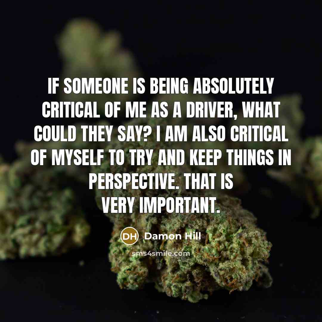 “If someone is being absolutely critical of me as a driver, what could they say? I am also critical of myself to try and keep things in perspective. That is very important.” quote by Damon Hill