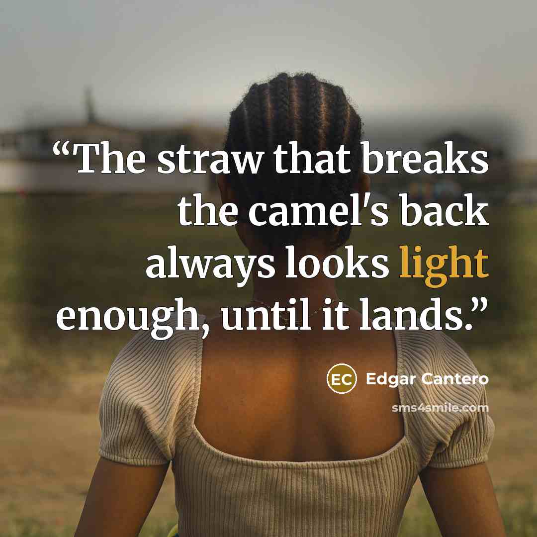 “The straw that breaks the camel's back always looks light enough, until it lands.” quote by Edgar Cantero