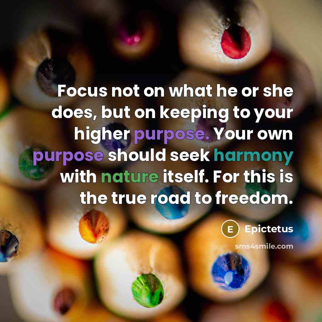 “Focus not on what he or she does, but on keeping to your higher purpose. Your own purpose should seek harmony with nature itself. For this is the true road to freedom.” quote by Epictetus