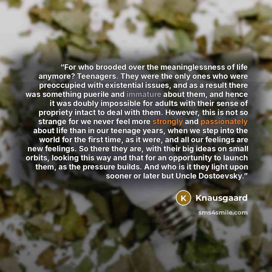 “For who brooded over the meaninglessness of life anymore? Teenagers. They were the only ones who were preoccupied with existential issues, and as a result there was something puerile and immature about them, and hence it was doubly impossible for adults with their sense of propriety intact to deal…” quote by Knausgaard