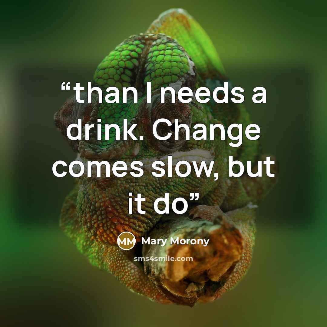 “than I needs a drink. Change comes slow, but it do” quote by Mary Morony