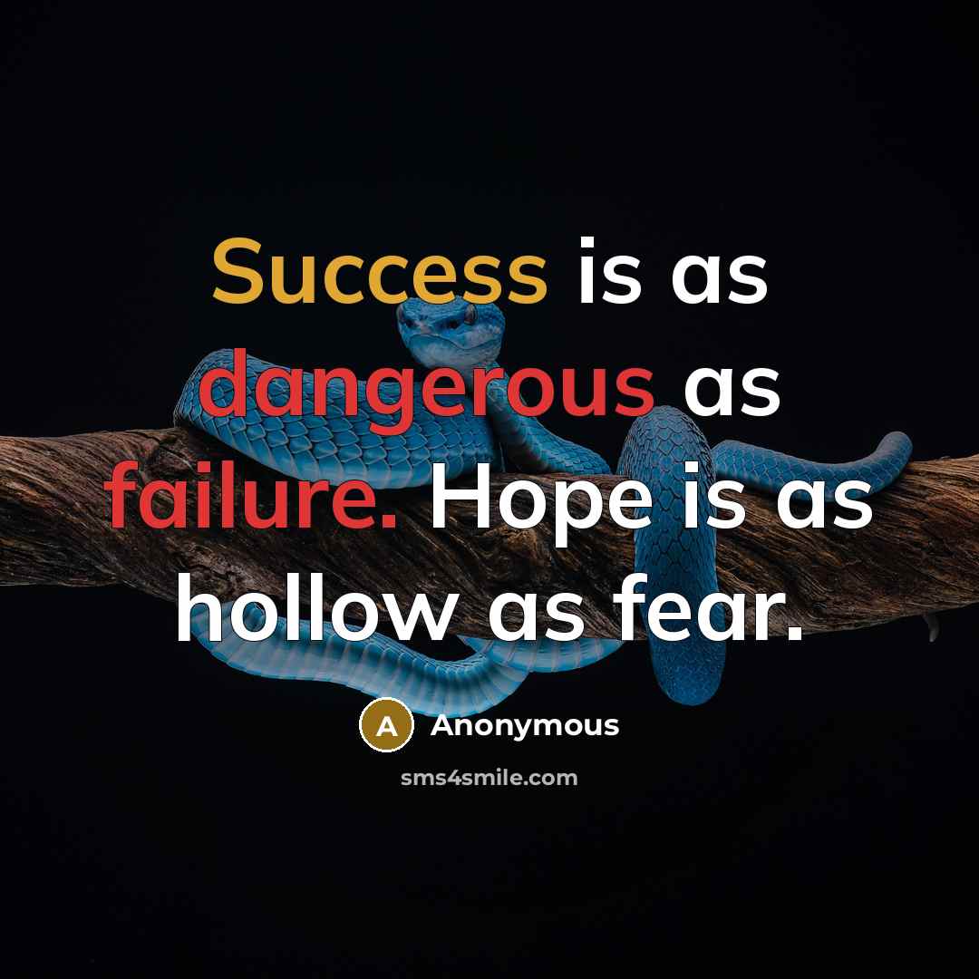 “Success is as dangerous as failure. Hope is as hollow as fear.” quote by Anonymous