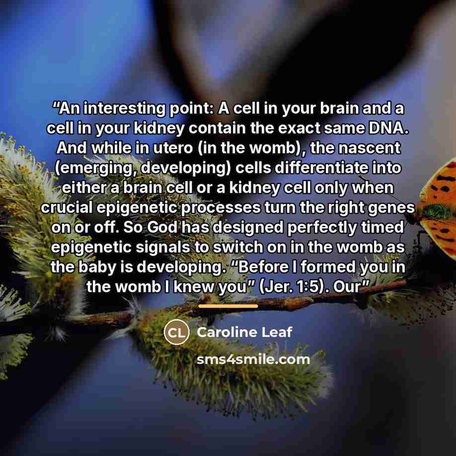 “An interesting point: A cell in your brain and a cell in your kidney contain the exact same DNA. And while in utero (in the womb), the nascent (emerging, developing) cells differentiate into either a brain cell or a kidney cell only when crucial epigenetic processes turn the right genes on or off…” quote by Caroline Leaf