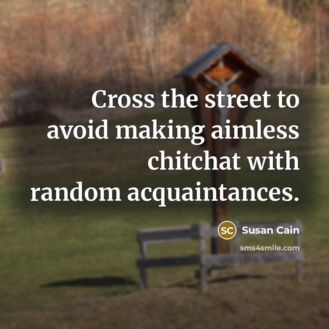 “Cross the street to avoid making aimless chitchat with random acquaintances.” quote by Susan Cain